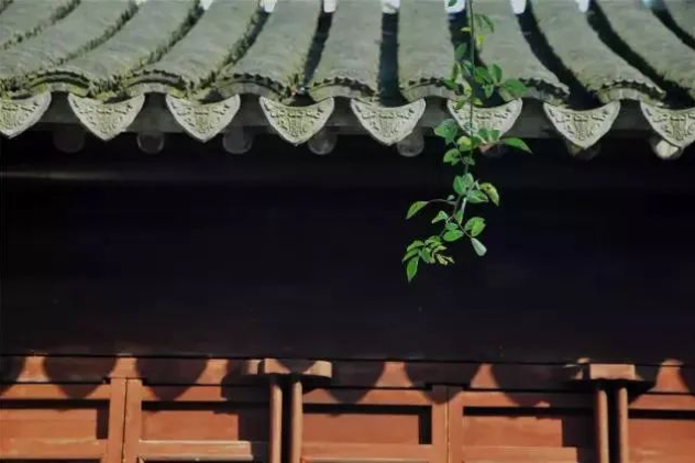 1689045010777261.png image.png